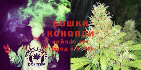 сатива Абаза