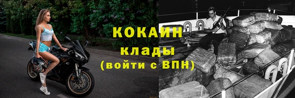 сатива Абаза