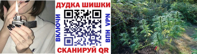Бошки Шишки план  продажа наркотиков  Куртамыш 